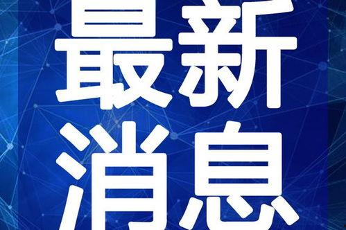 长沙城管爆料事件视频最新,视频揭露惊人真相，引发社会关注